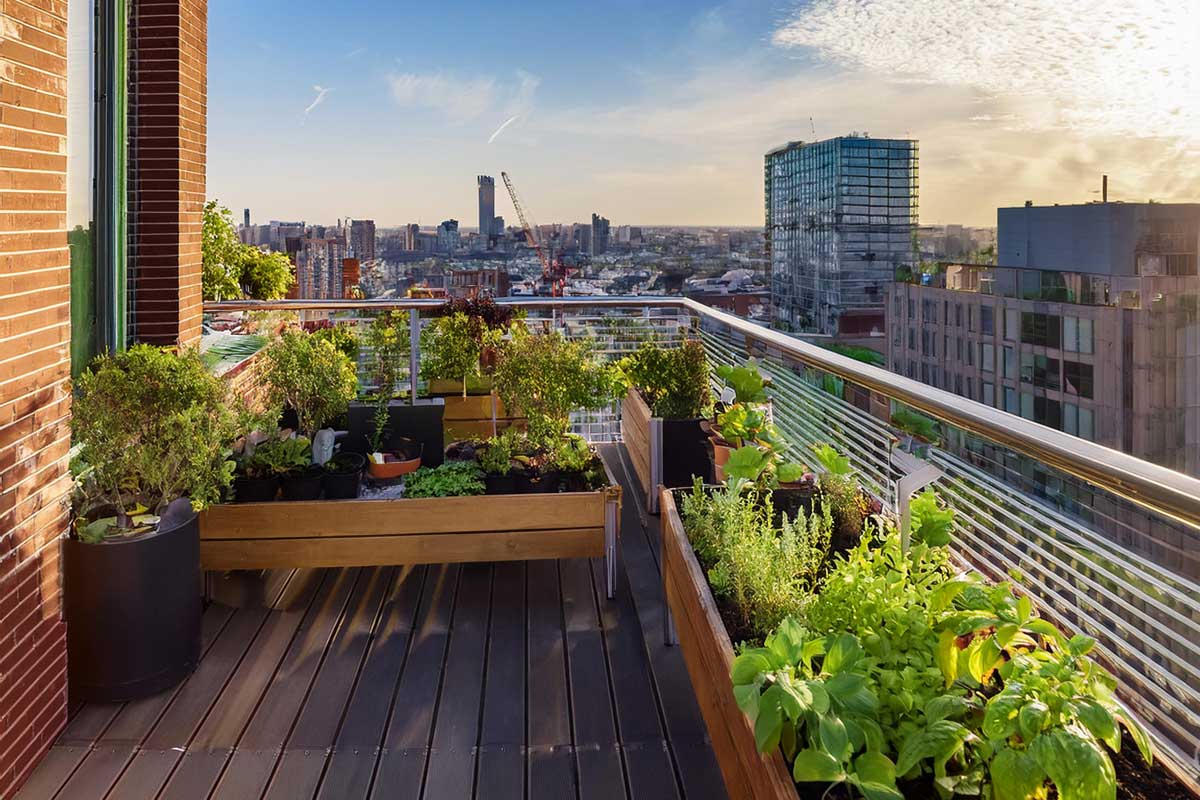 Transform-Your-Space-Get-Started-with-our-Urban-Gardening-tips